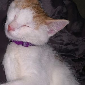 Meet your Posher, Sharyce